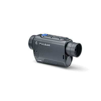 PULSAR AXION