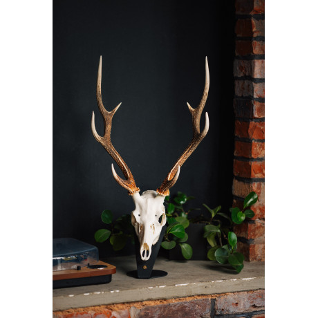 Kovová podložka pro trofej – Jelen sika s nábojnicí