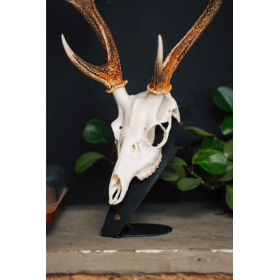 Kovová podložka pro trofej – Jelen sika s nábojnicí