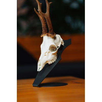 Kovová podložka Srnec – podložka pod trofej