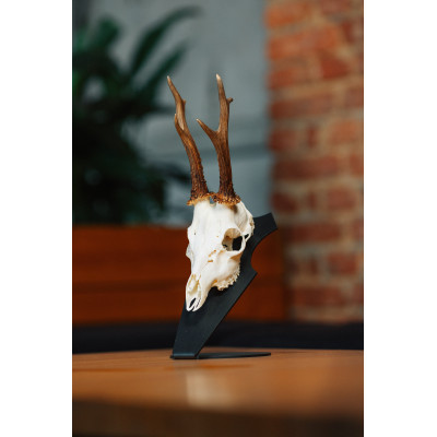 Kovová podložka Srnec – podložka pod trofej