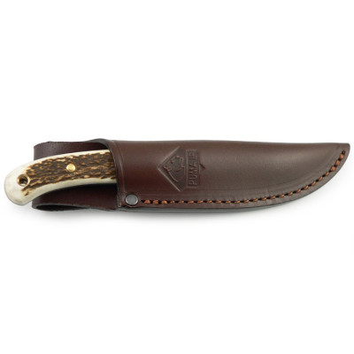PUMA IP  catamount stag 