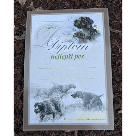 Diplom nejlepší pes