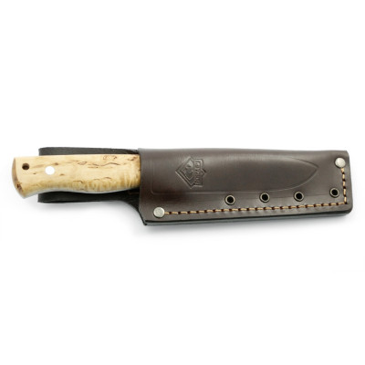 PUMA IP beaver