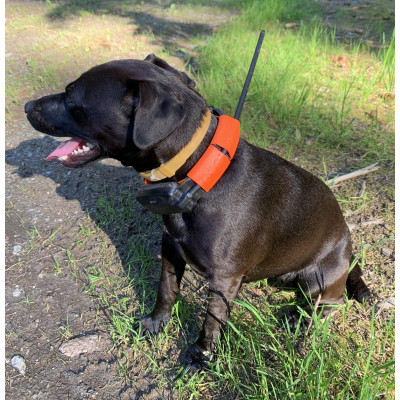 Obojek pro dalšího psa DOG GPS X30