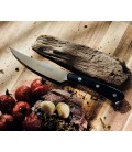 PUMA IP  Steakový nůž