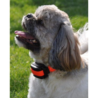 DOG trace d-mute Small Light - Proti štěkací obojek