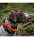 Vyhledávací a výcvikové zařízení pro psy DOG GPS X30T